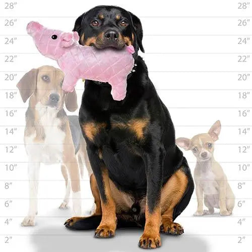 Mighty Farm Piglet Plush Dog Toy   | Low Prices | Canine & Co