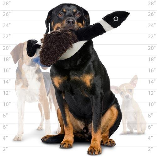Mighty Nature - Duck Dog Toys - lifestyle image with pet nationwide South Africa