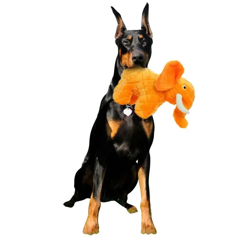 Mighty Safari Elephant Plush Dog Toy   | Low Prices | Canine & Co