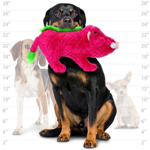 Mighty Safari - Warthog Dog Toys - lifestyle image with pet available in South Africa
