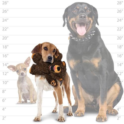 Mighty Angry Animals - Bear Dog Toys - product detail image South Africa store
