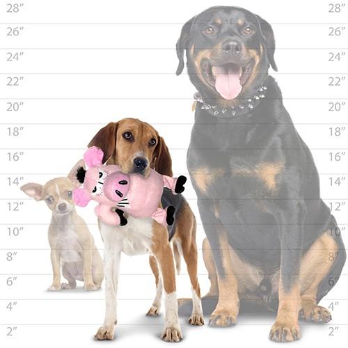 Mighty Angry Animals Pig Dog Toys - product detail image South African pet owners