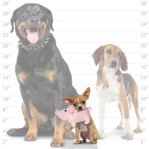 Mighty Farm Piglet Plush Dog Toy   | Low Prices | Canine & Co