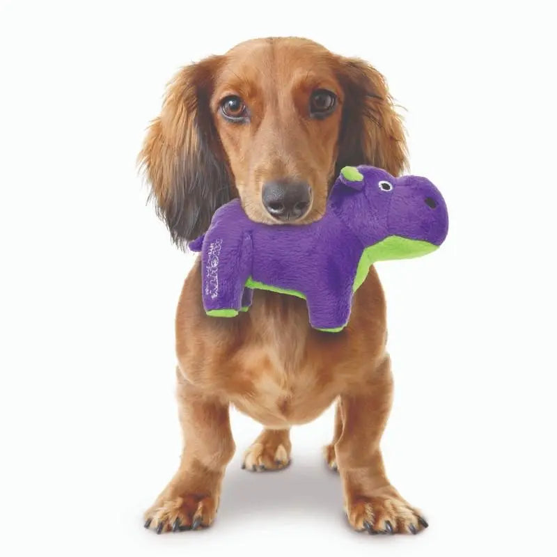 Mighty Safari - Hippo Dog Toys - product detail image South Africa buy now