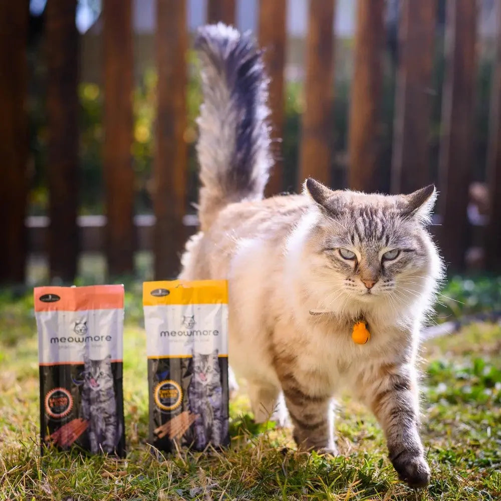 Fluffy cat walking past Meowmore food bags in a sunny outdoor setting.