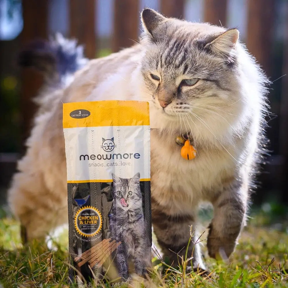 Cat enjoying meowmore chicken and liver snacks in a sunny outdoor setting.