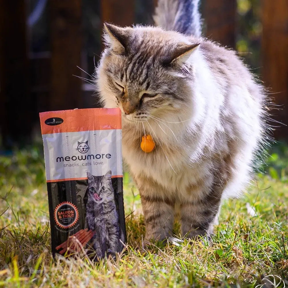 Fluffy cat sniffing Meowmore salmon treats bag in a sunny outdoor setting.