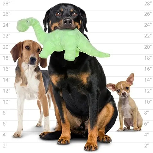 Three dogs of different breeds posing together, with a Rottweiler holding a green dinosaur toy.