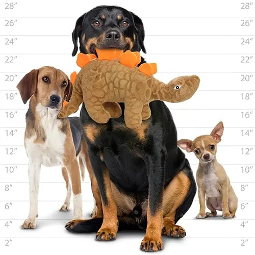 Three dogs of different breeds posing together, with one holding a plush dinosaur toy.