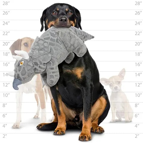 Rottweiler holding a plush dinosaur toy, showcasing pet playtime and fun.