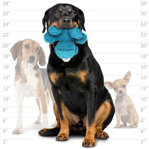 Rottweiler with a blue toy, showcasing dog sizes in the background for pet product comparison.