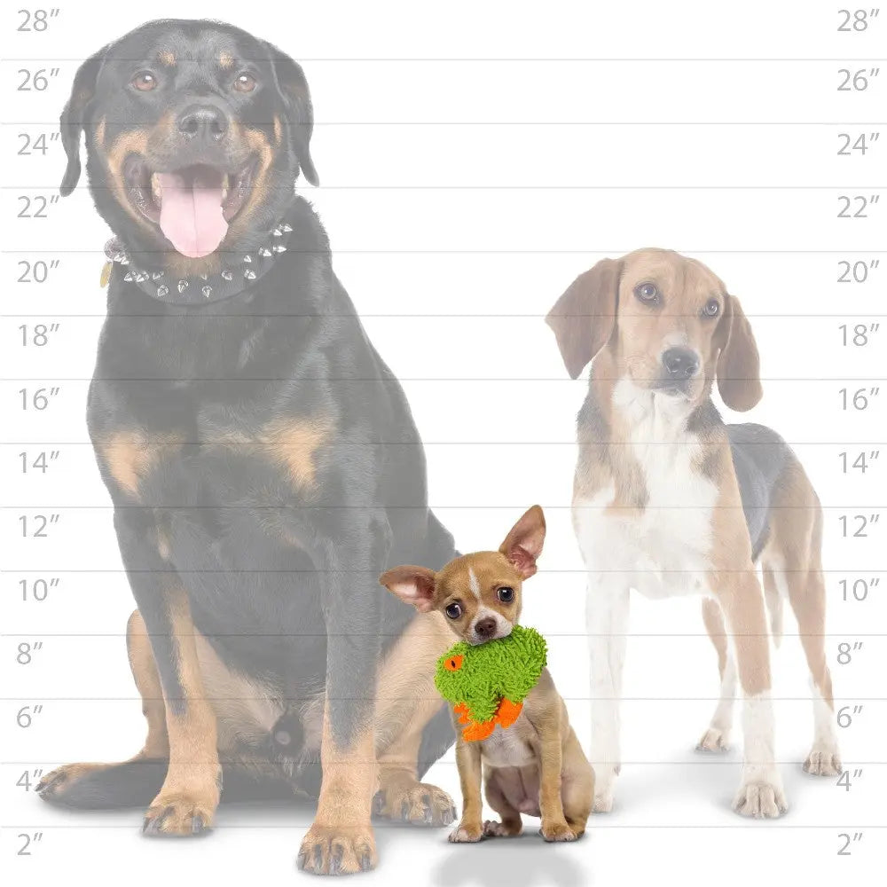 Three dogs of varying sizes, including a Rottweiler, Beagle, and Chihuahua, posing together with a toy.