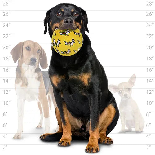 Rottweiler with a playful yellow bandana, surrounded by smaller dog breeds for size comparison.