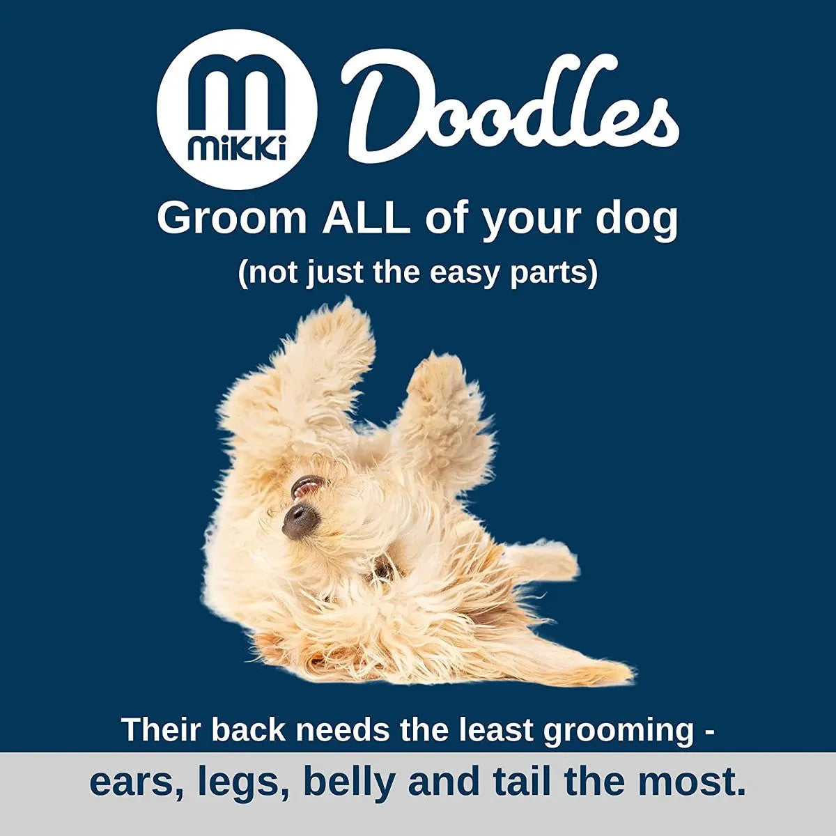 Doodles dog grooming guide highlighting areas needing attention for optimal care.