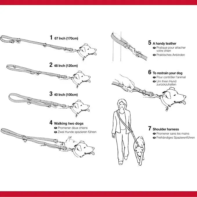 Dog leash guide illustrating various lengths and uses for walking one or two dogs safely.