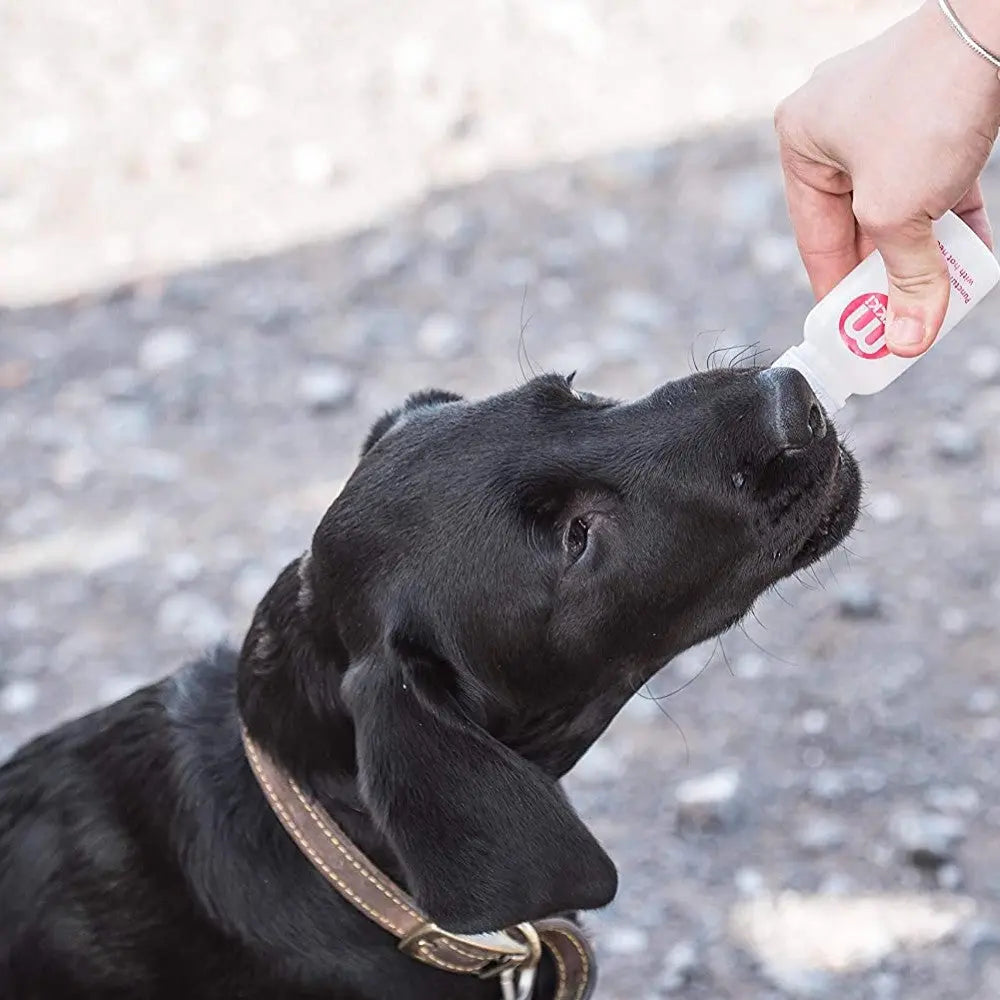 Dog receiving liquid supplement from a squeeze bottle for health and nutrition.