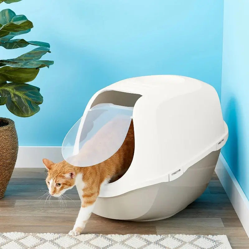 Cat using a modern litter box with a clear entrance in a stylish home setting.