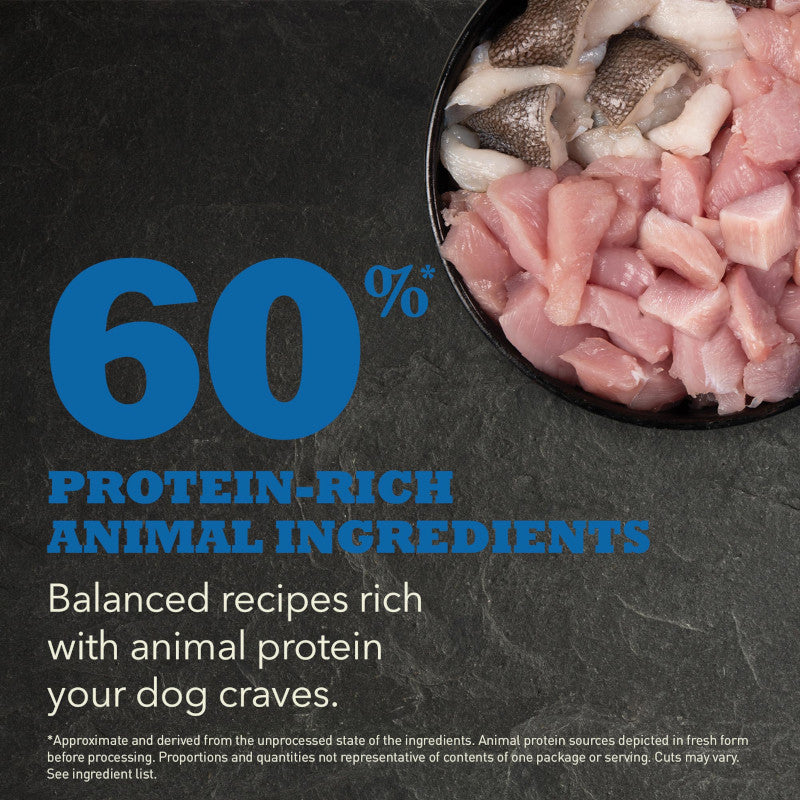 Acana Adult Recipe Dog Food – key benefits graphic (available online in South Africa)