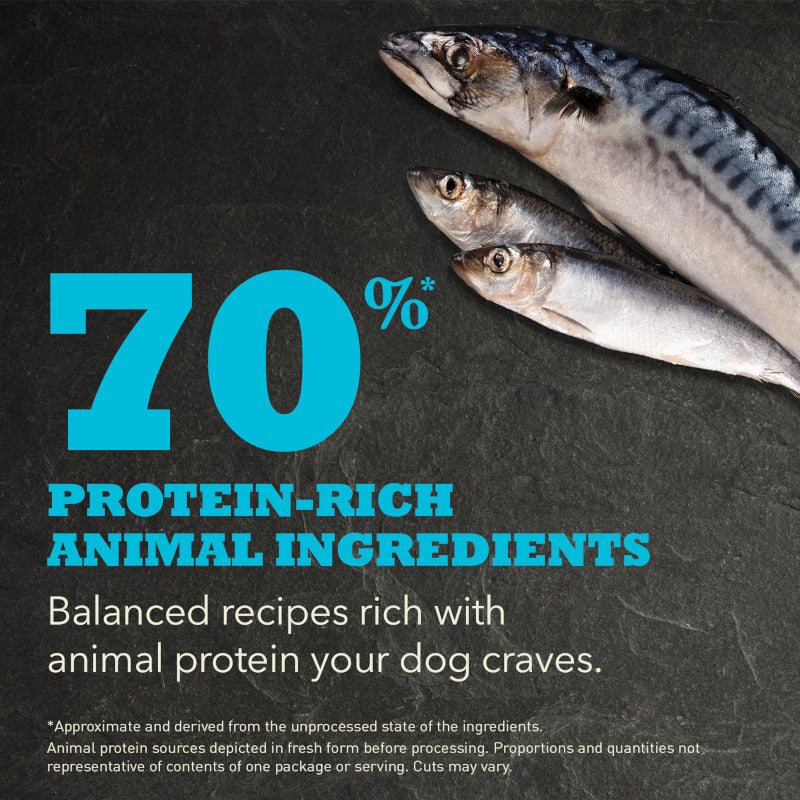 Acana Highest Protein Pacifica Recipe Dog Food – key benefits graphic (available online in South Africa)