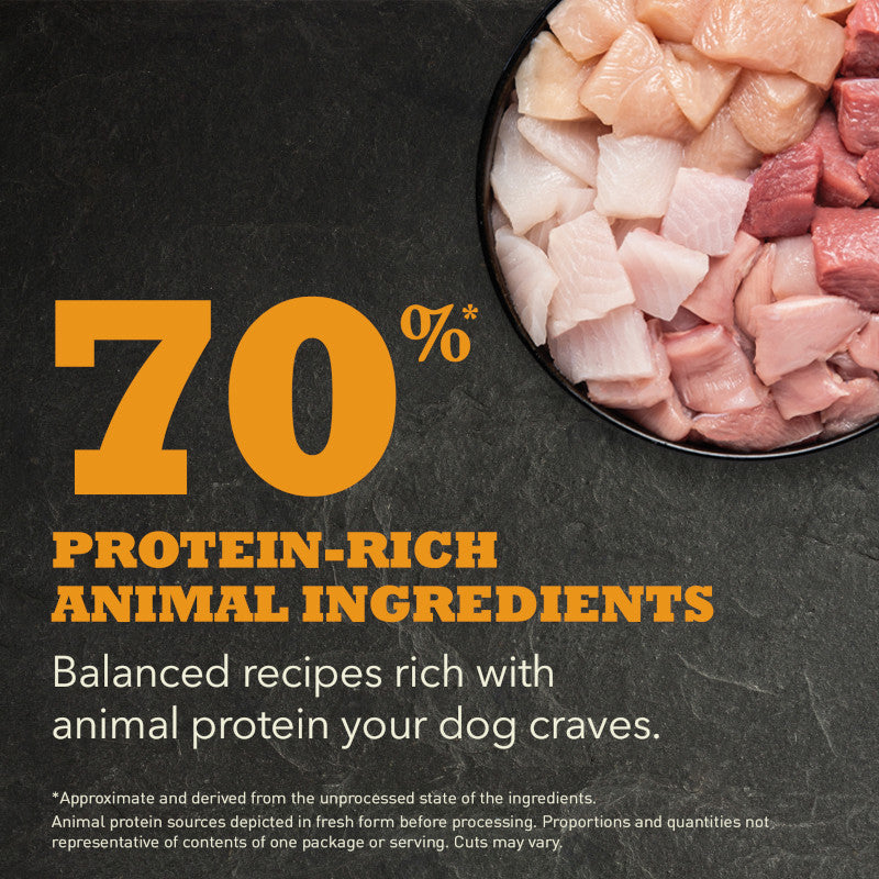 Acana Highest Protein Wild Prairie Recipe Dog Food – key benefits graphic (available online in South Africa)