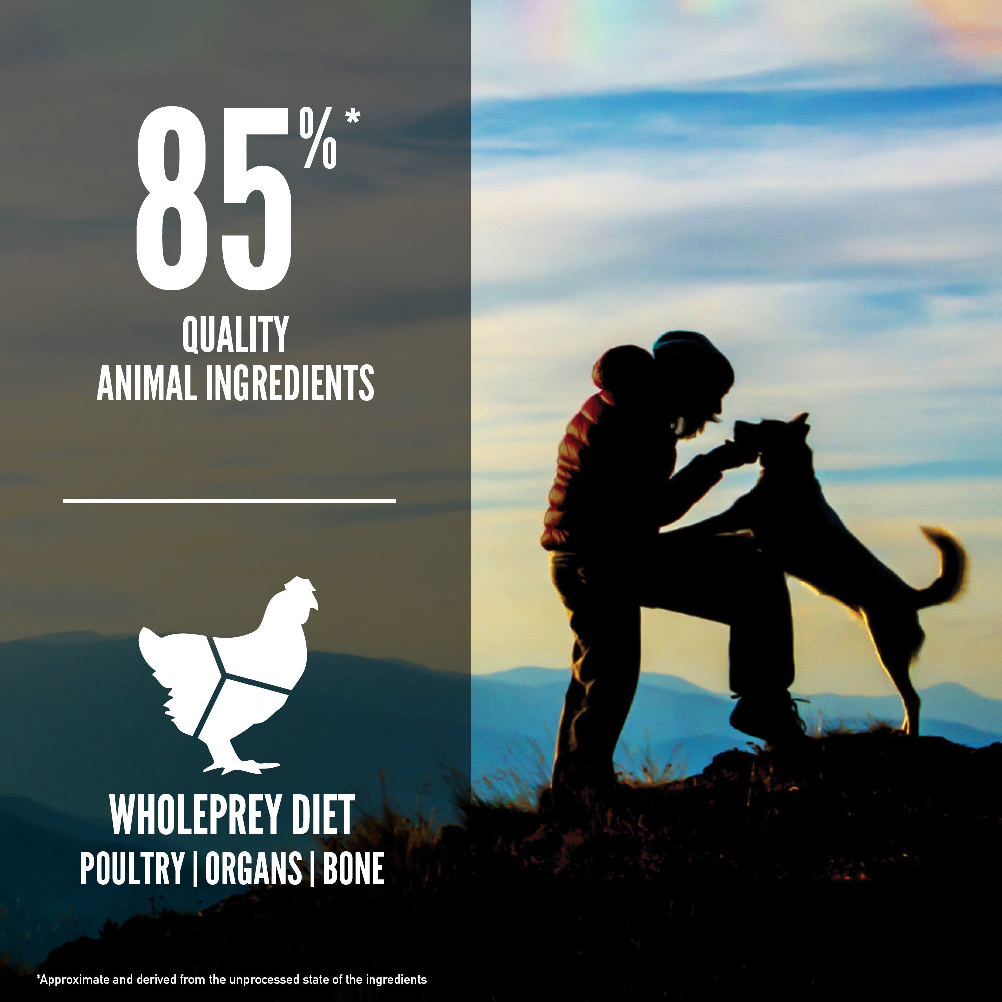 Orijen Original Dog – key benefits graphic (SA)