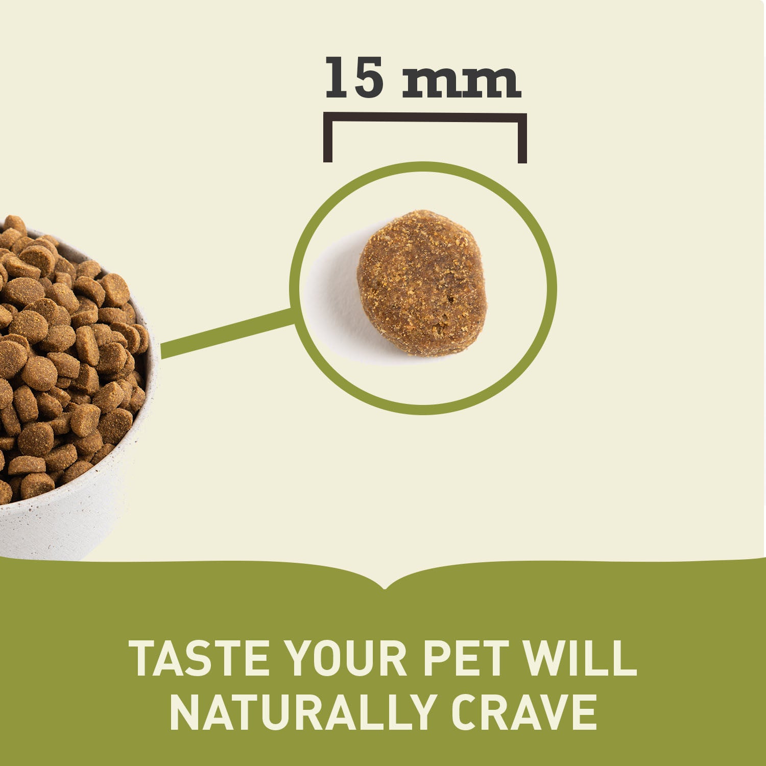 Acana Large Breed Puppy Food – close-up of kibble pieces (Canine & Co (South Africa))