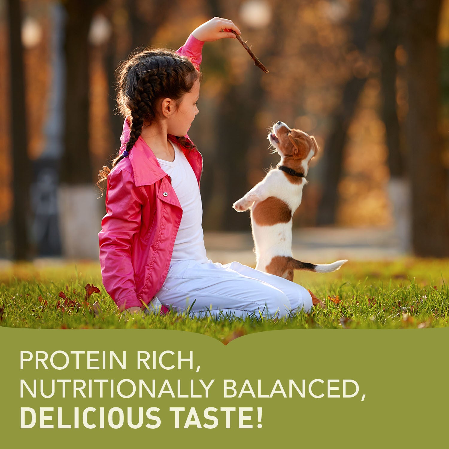 Acana Puppy Small Breed Recipe Dog Food – key benefits graphic (SA)
