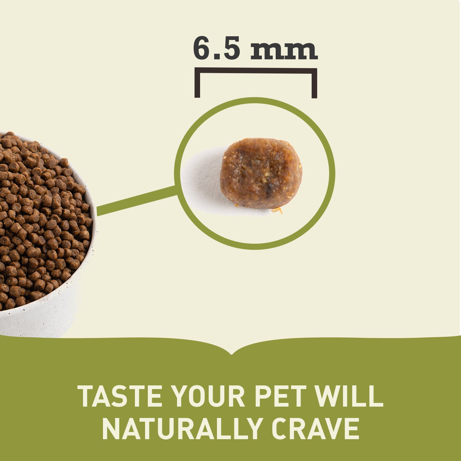 Acana Puppy Small Breed Recipe Dog Food – close-up of kibble pieces (buy in South Africa)