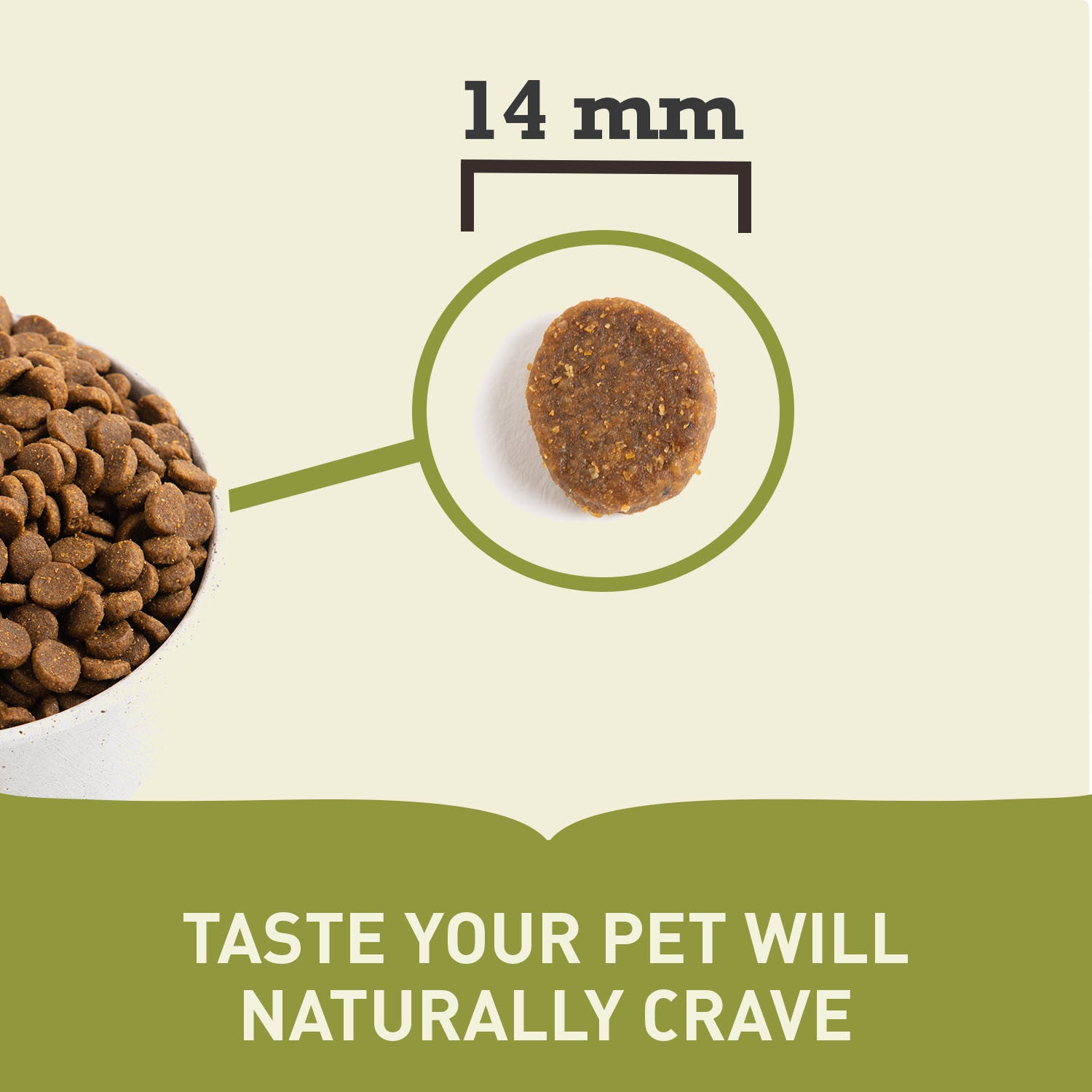 Acana Senior Recipe Dog Food – close-up of kibble pieces (buy in South Africa)