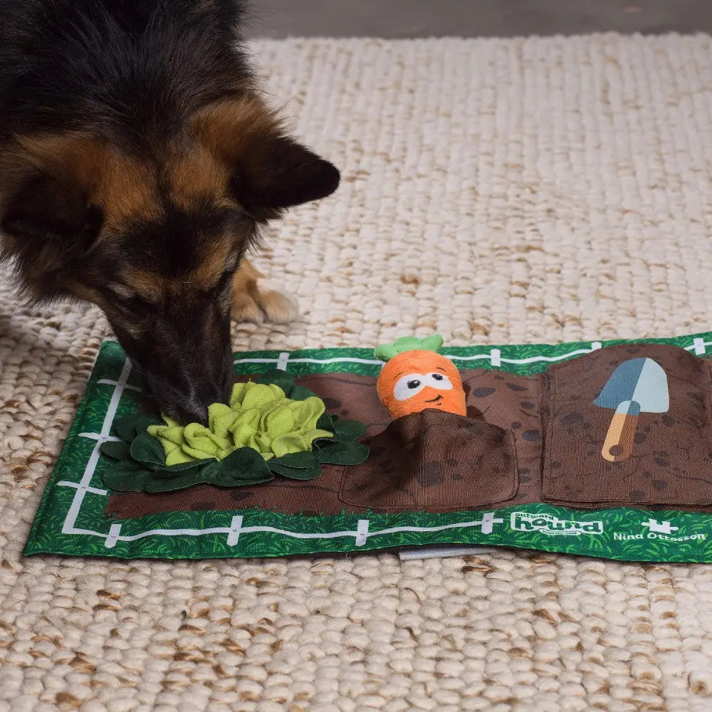 Dog playing with a plush garden puzzle mat featuring vegetables and a shovel toy.