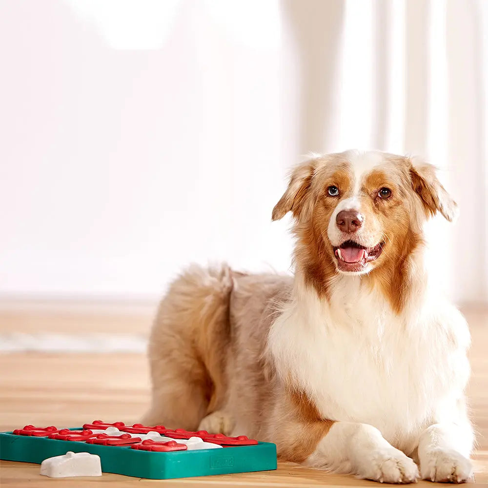 Nina Ottosson Dog Brick | Buy Interactive Dog Toys Online – Canine
