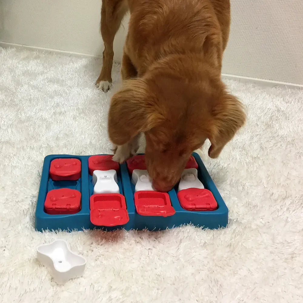 Dog playing with interactive puzzle toy, engaging in mental stimulation and fun.