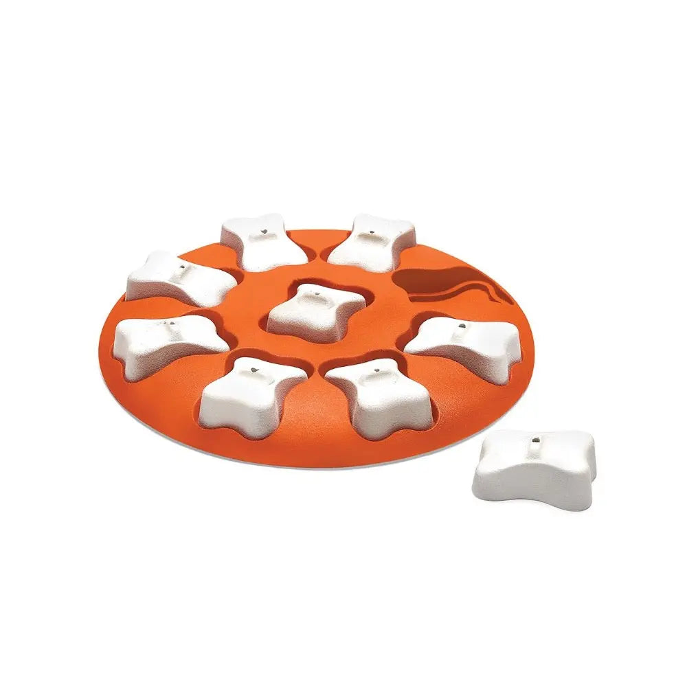 Interactive dog puzzle toy with removable bone-shaped pieces for mental stimulation and play.
