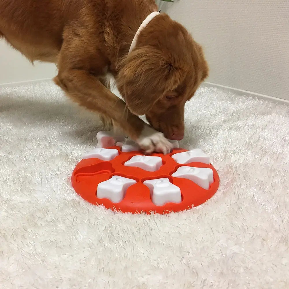 Dog playing with an interactive puzzle toy on a soft rug, promoting mental stimulation and engagement.