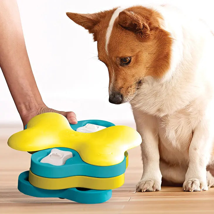 Dog puzzle toy with colorful pieces, engaging pet's curiosity and promoting mental stimulation.
