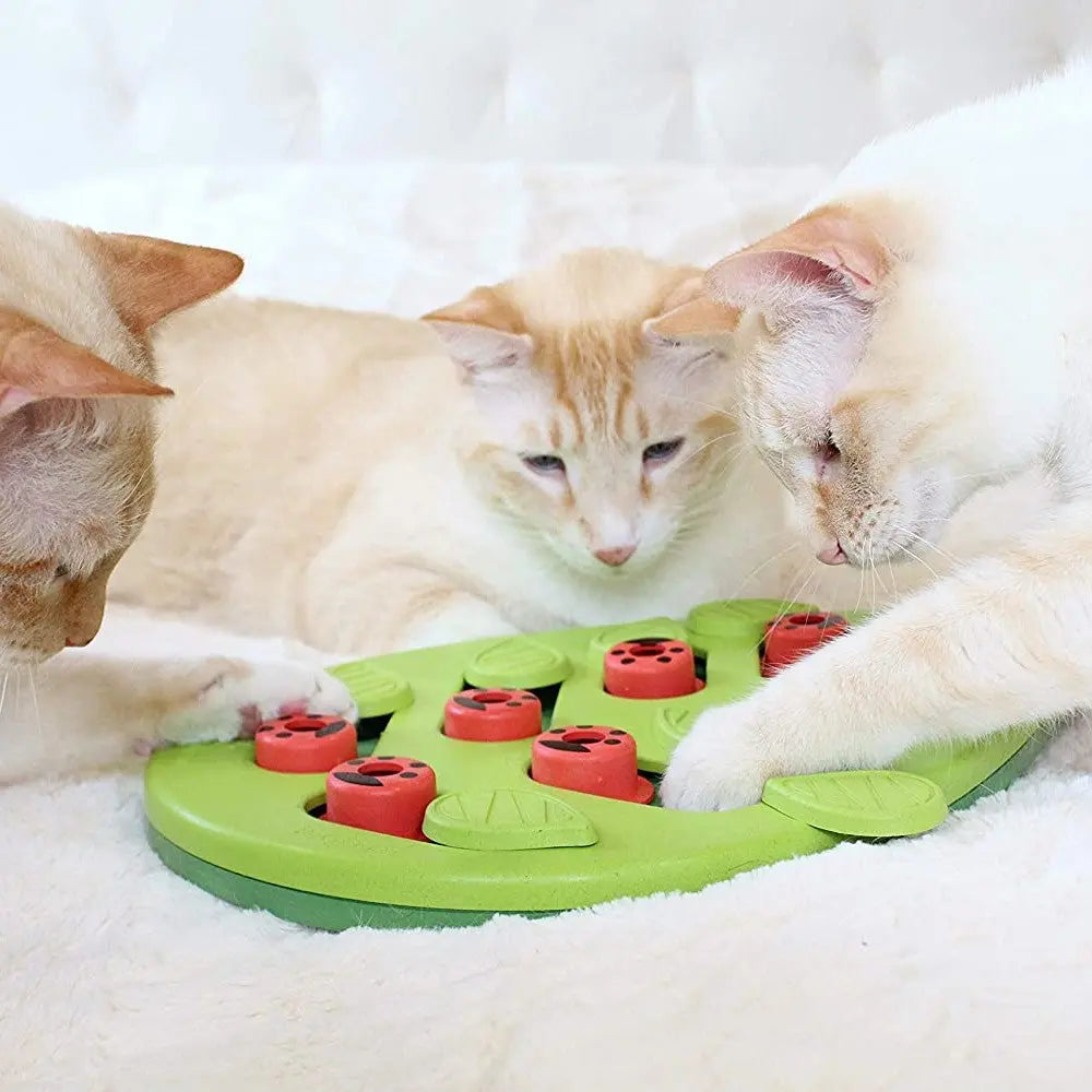 Three cats play with a green interactive puzzle toy, enhancing their mental stimulation and engagement.