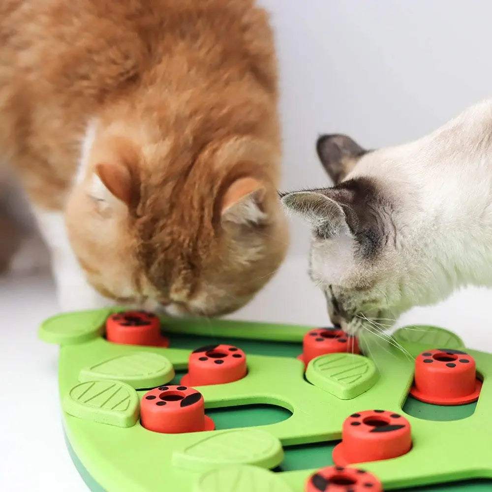 Two cats play with a green interactive puzzle toy featuring ladybug-shaped pieces.