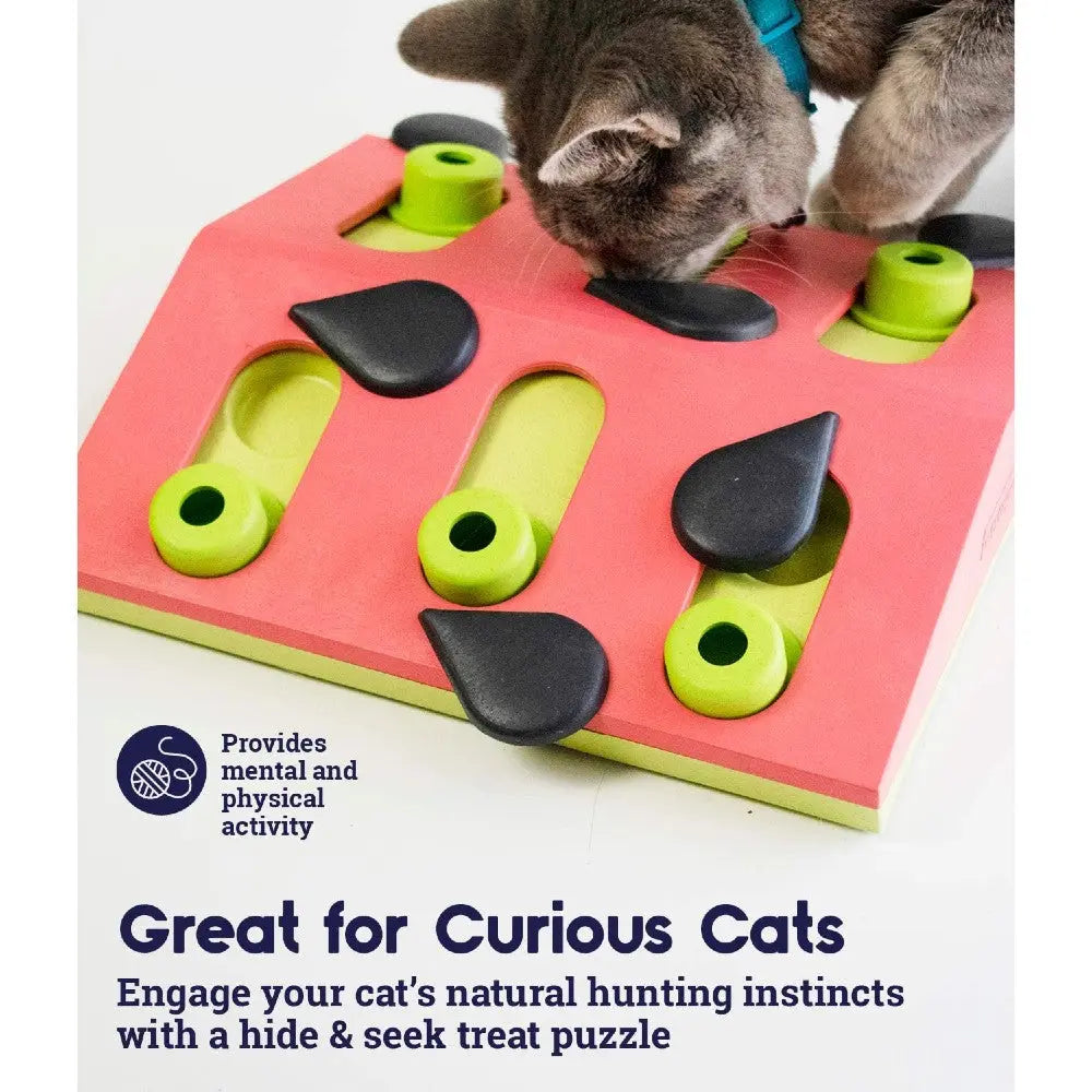 Cat puzzle toy designed to stimulate curiosity and encourage natural hunting instincts.