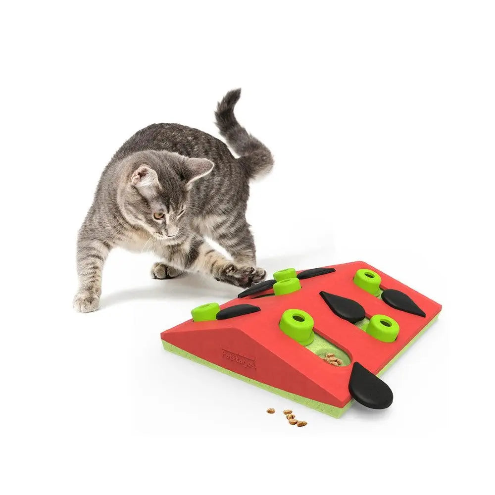Interactive cat puzzle toy with treats, designed to stimulate and engage playful felines.