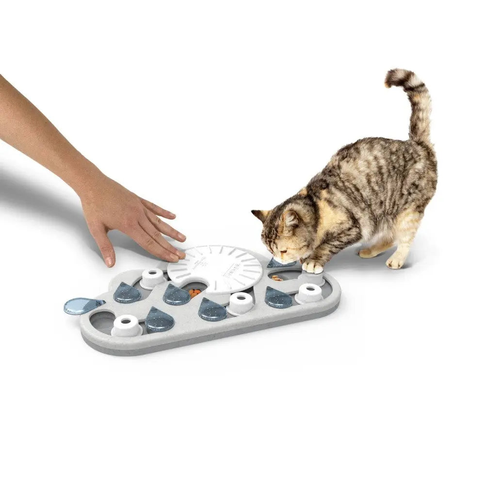 Interactive cat puzzle feeder with a hand and a curious cat exploring the game.