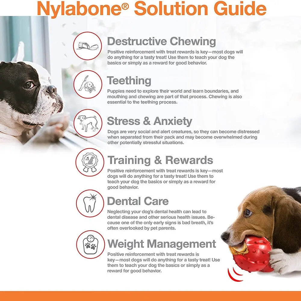 Nylabone solution guide infographic highlighting tips for dog training, dental care, and managing stress.