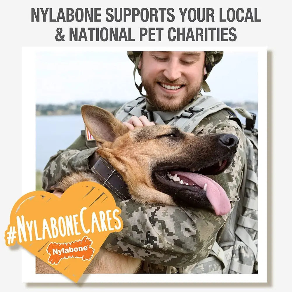 Soldier joyfully embraces a dog, highlighting Nylabone's support for pet charities.