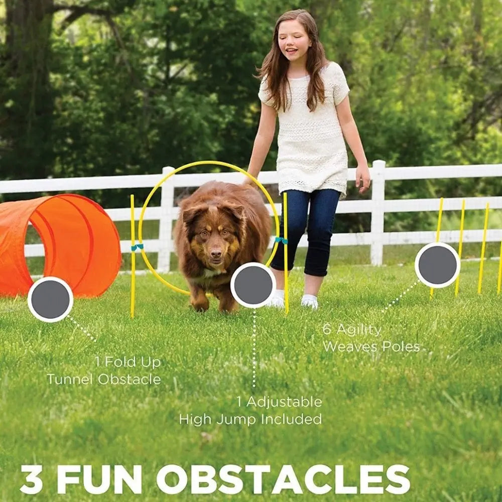 Dog agility training kit with tunnel, jump, and weave poles for outdoor fun.