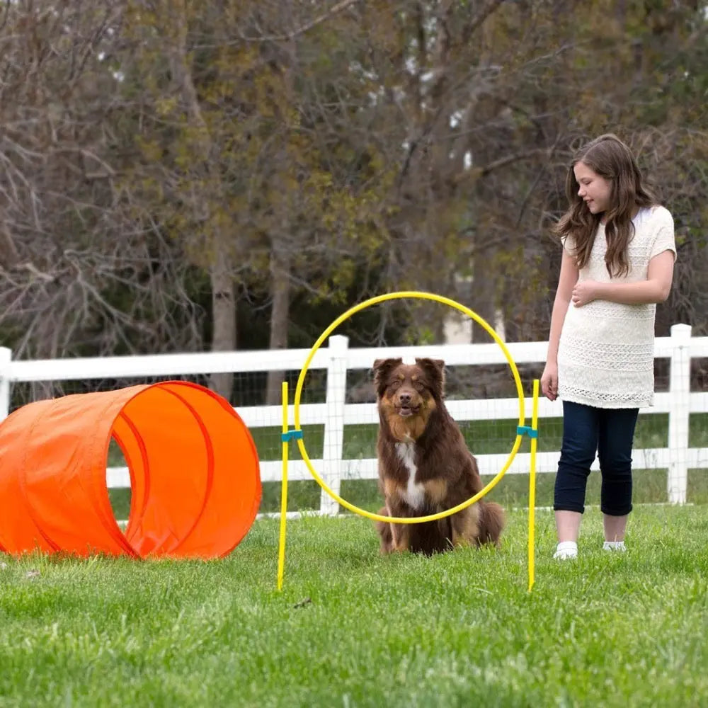 Dog training in a park with agility tunnel and hoop, showcasing a girl and her pet in action.