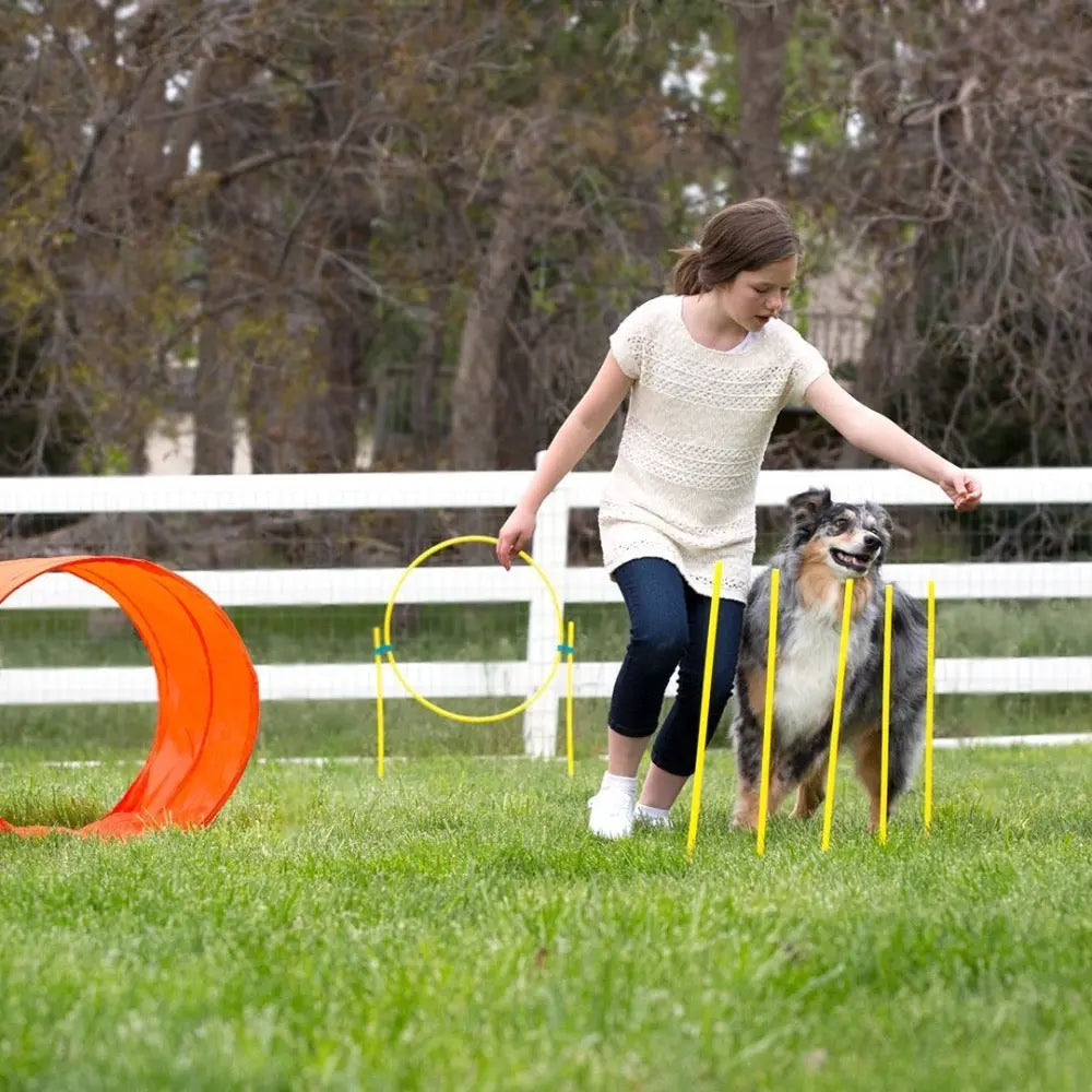 Girl training her dog with agility equipment in a grassy field.