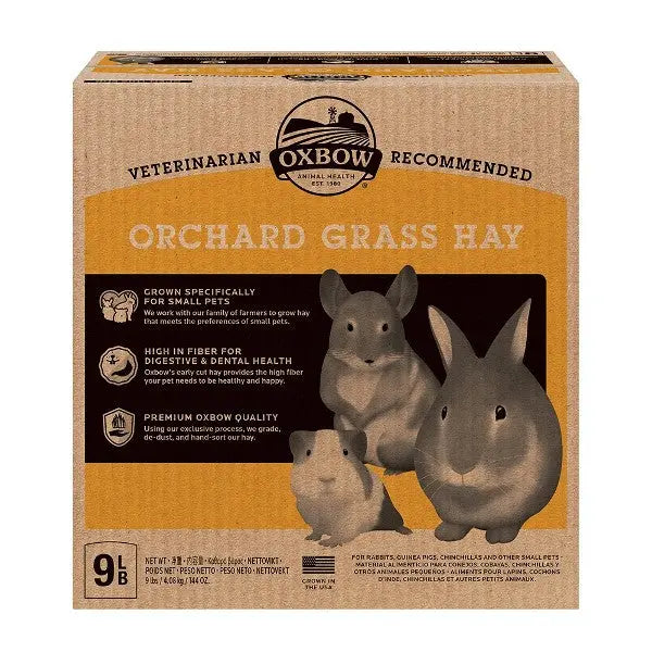 Oxbow Orchard Grass Hay box for small pets, promoting digestive health and premium quality.