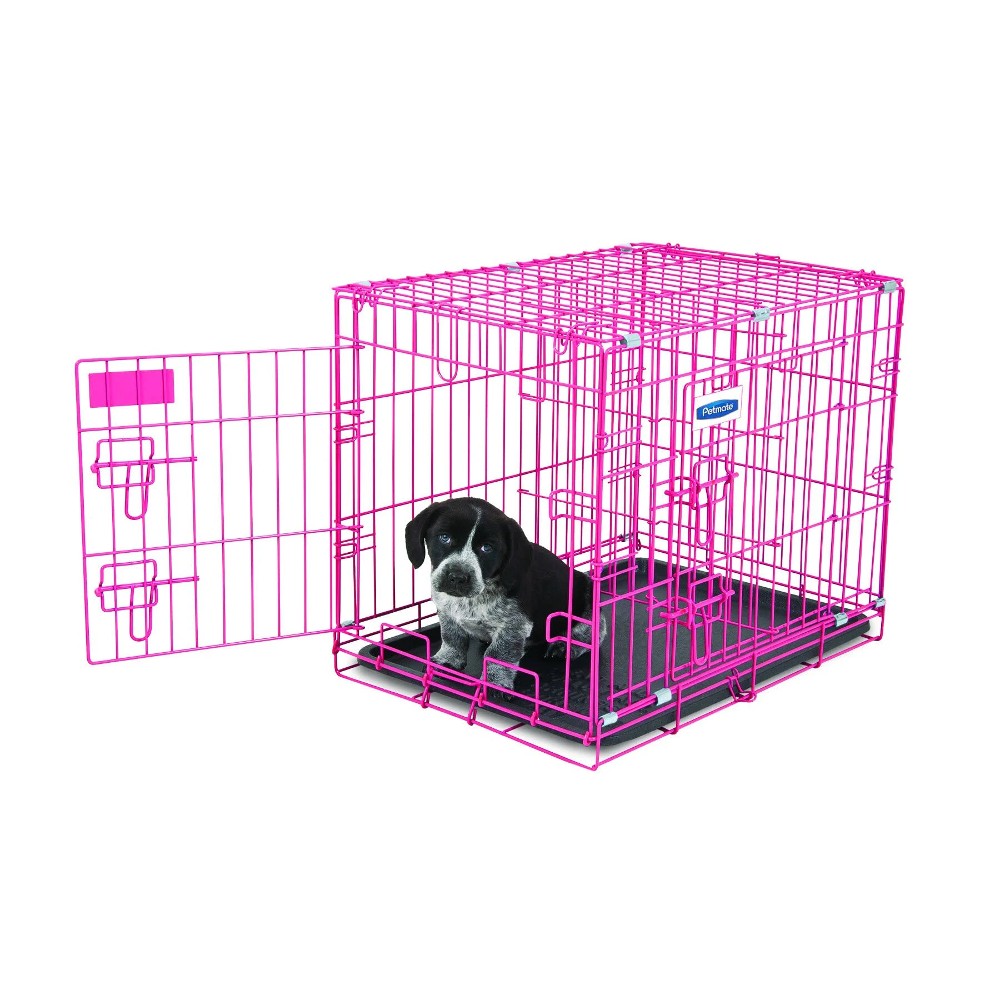 Petmate 2 cheap door kennel petsmart