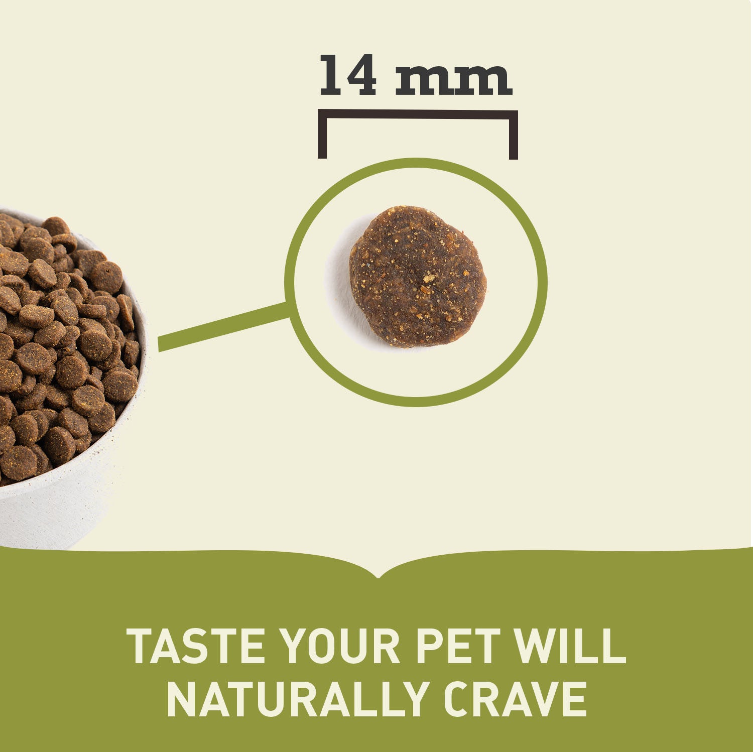 Acana Highest Protein Pacifica Recipe Dog Food – lifestyle image (South Africa)