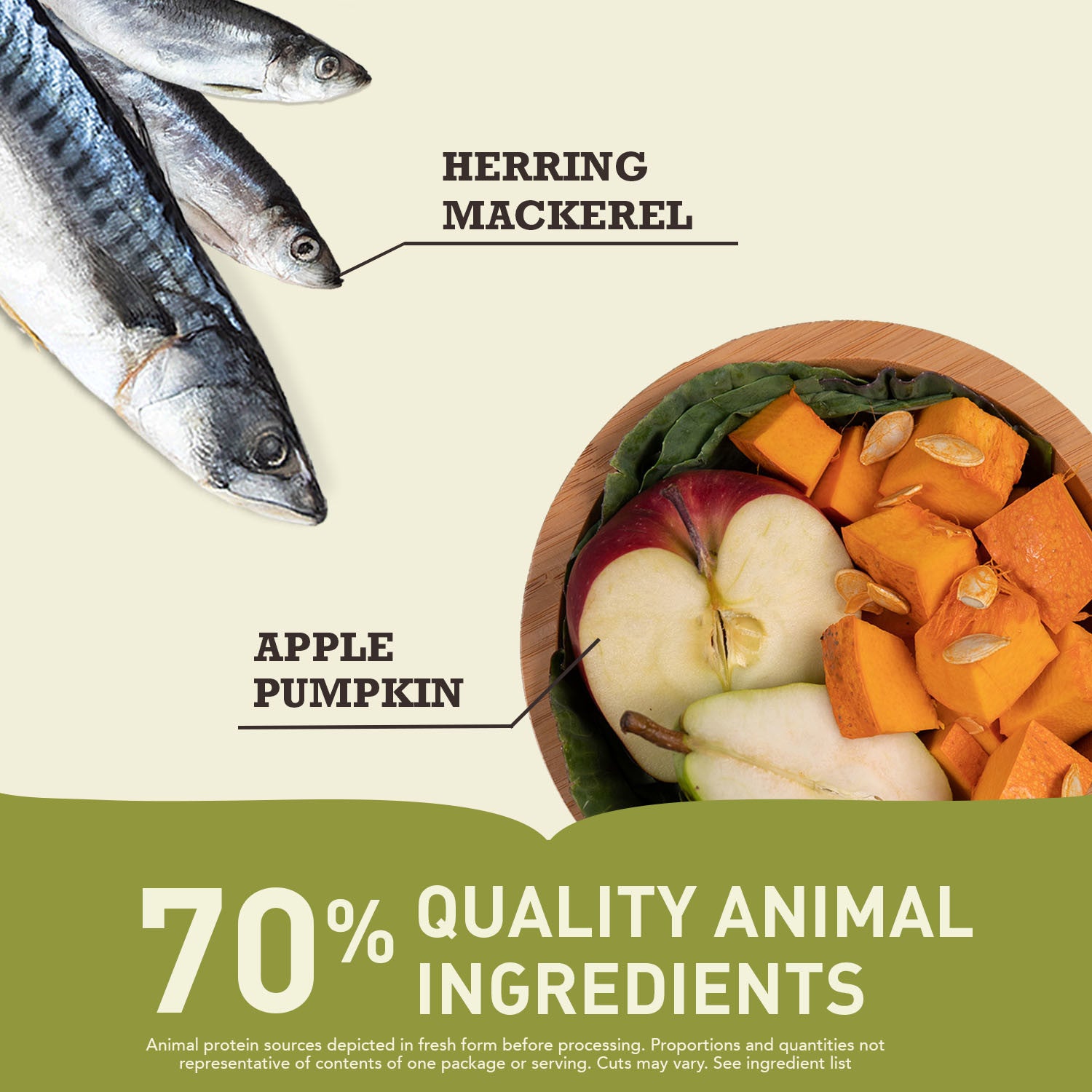 Acana Highest Protein Pacifica Recipe Dog Food – lifestyle image (buy in South Africa)