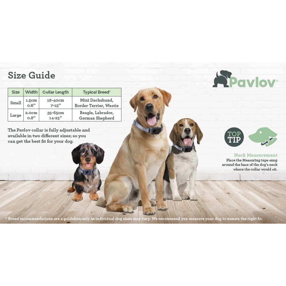 Company of Animals Pavlov Digital No Bark Collar - product detail image find in South Africa